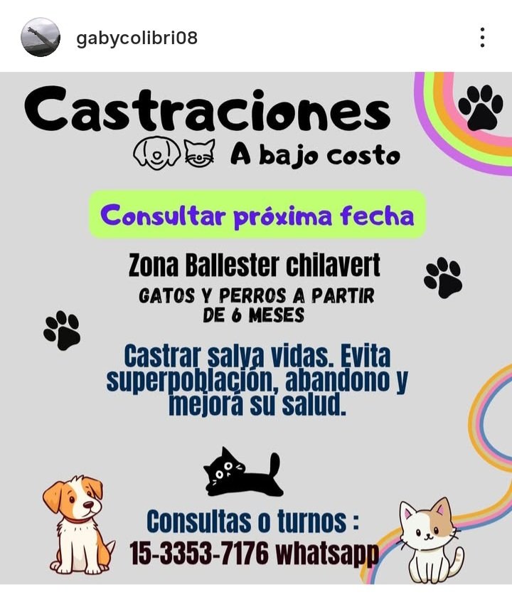 protegealanimal's tweet image. SAN MARTÍN - BALLESTER/CHILAVERT
#SANMARTÍN #LOMAHERMOSA #BILLINGHURST #JOSÉLEÓNSUÁREZ #BALLESTER #SANANDRÉS #VILLABALLESTER #VILLALYNCH #VILLAMAIPÚ #VILLALIBERTAD #VILLAHIDALGO #CHILAVERT #CARCOVA #LIBERTADOR #LANZONE #ZONANORTE #ZONANOROESTE #GRANBSAS #BUENOSAIRES #CONURBANO