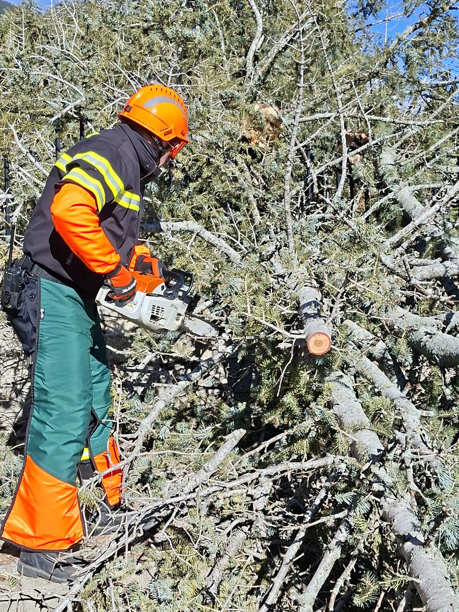 PCivilEscorial's tweet photo. 🔴 Estamos teniendo numerosos avisos debido a las fuertes rachas de viento.
Mucha precaución!! 
#ProteccionCivil https://t.co/R4W0Huawxf