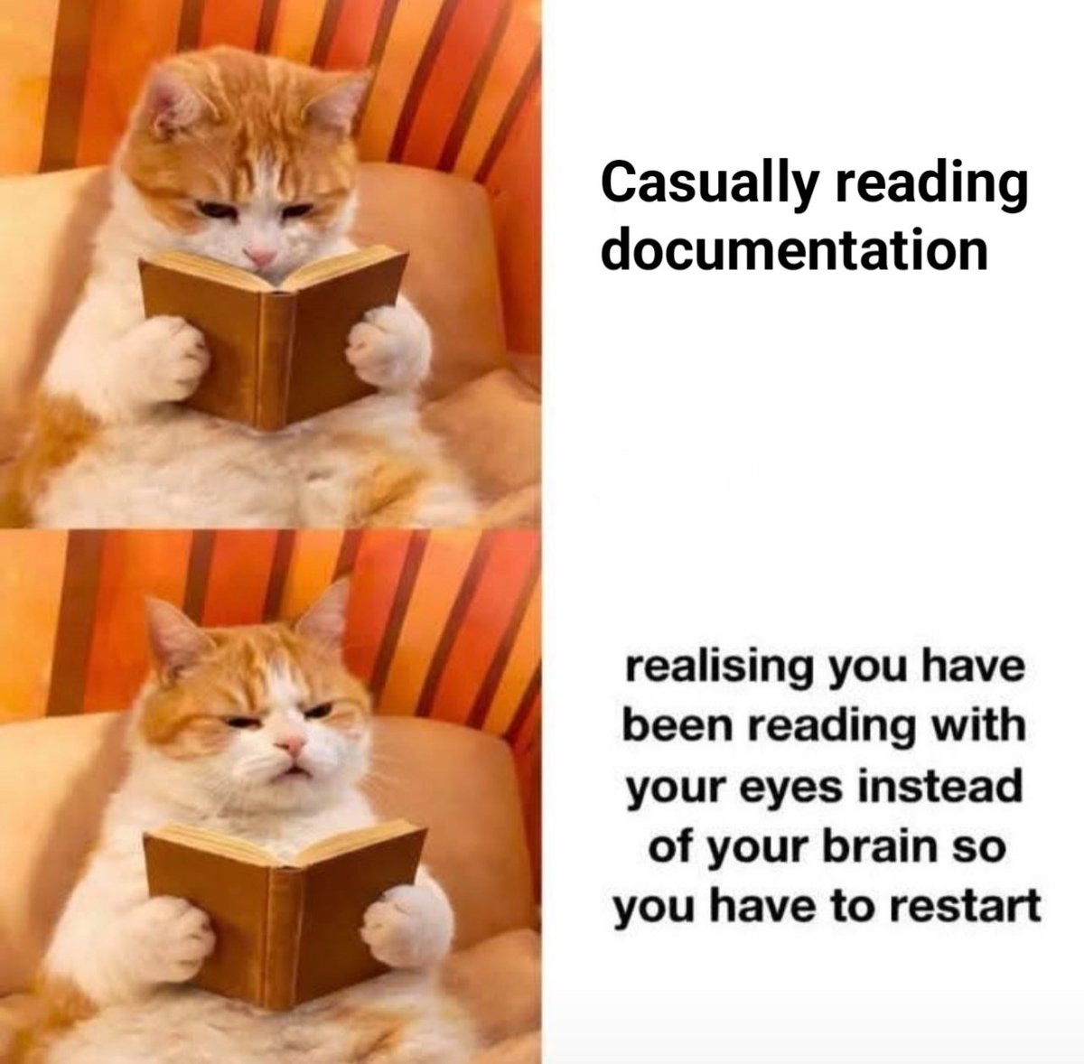 fidexcode's tweet photo. Relatable? 😂 https://t.co/8r4CdDTwSd