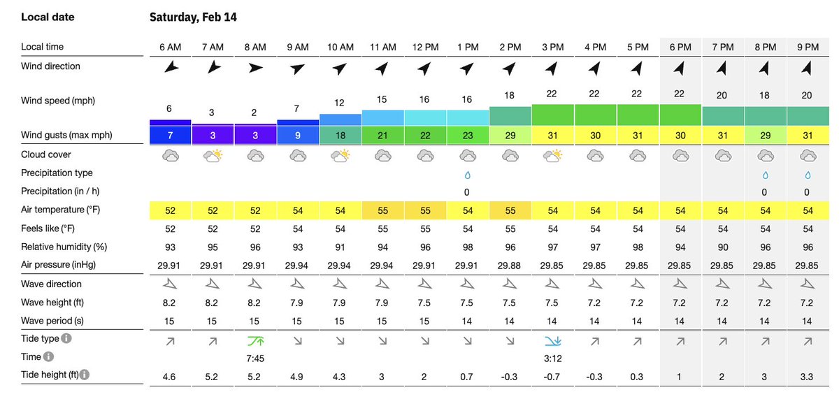 Pat Mayo tweet media