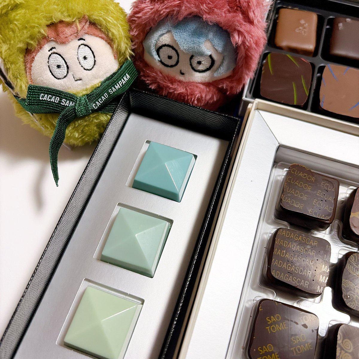 カカオサンパカの新作🥞の髪色に似てるじゃんねって思って買ったけどいい感じのお色。りぼんは緑だったから🚥につけてあげようねえ。