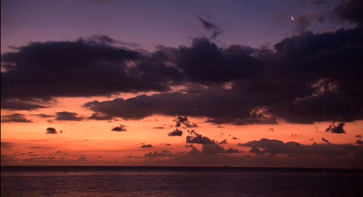 Moonlight Minx tweet media