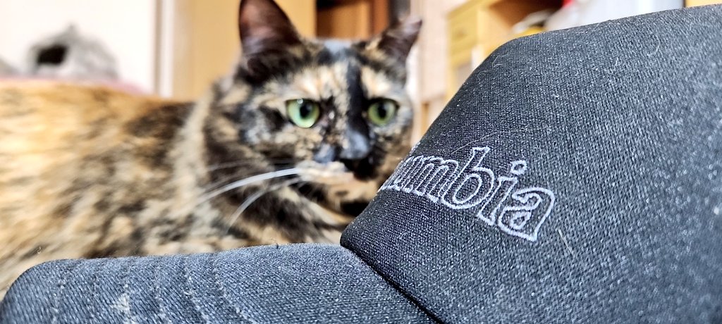 キャップ仰視ちぅサリーちゃん。 明日譲渡会参加。 良く食べたから良く