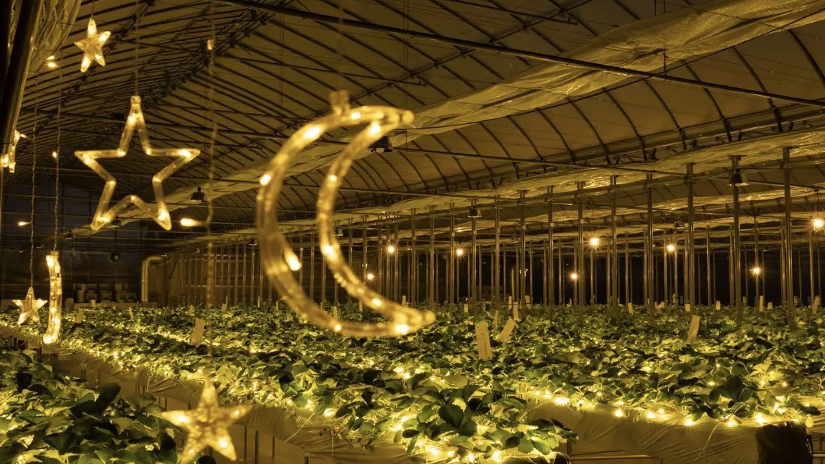 俺/コスパ最高のホテル&サウナ tweet media