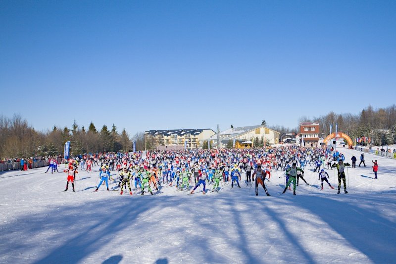 Daniel Gladiš tweet media