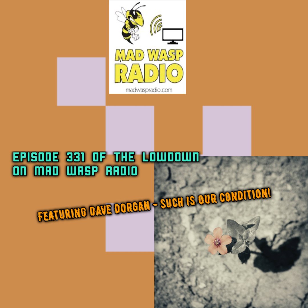 the lowdown tweet media