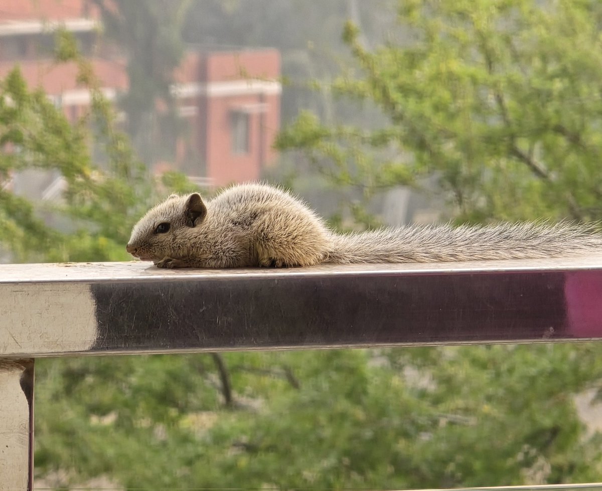 Today I met a cutie 💓