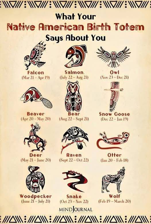 Proud Native Americans tweet media