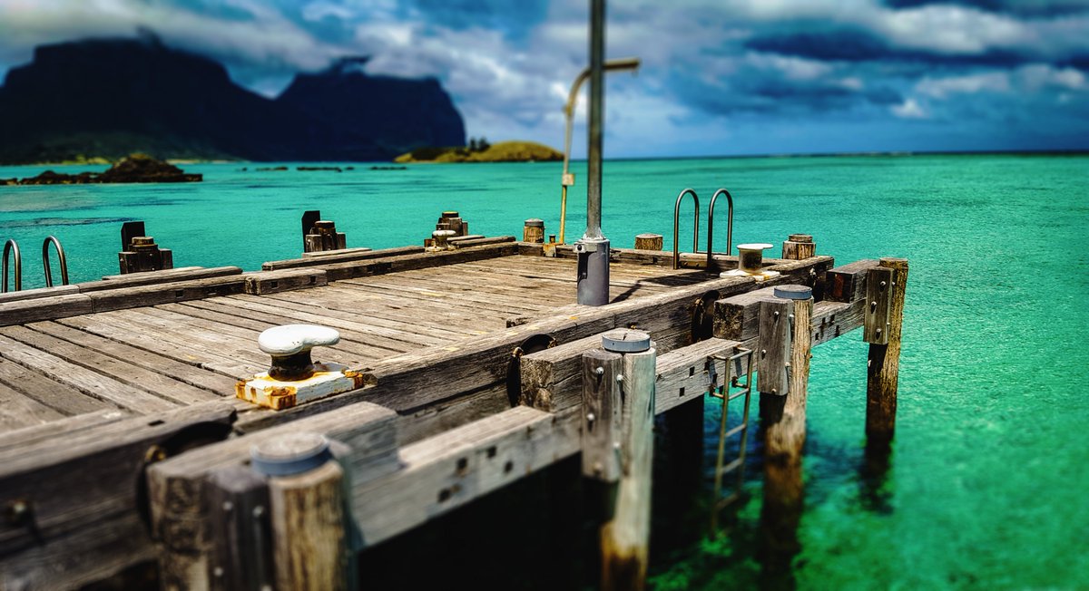 Still Air tweet media