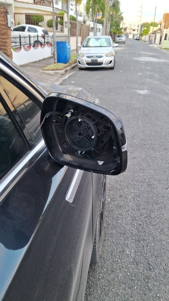 Susana Gautreau de Windt 🇩🇴 tweet media