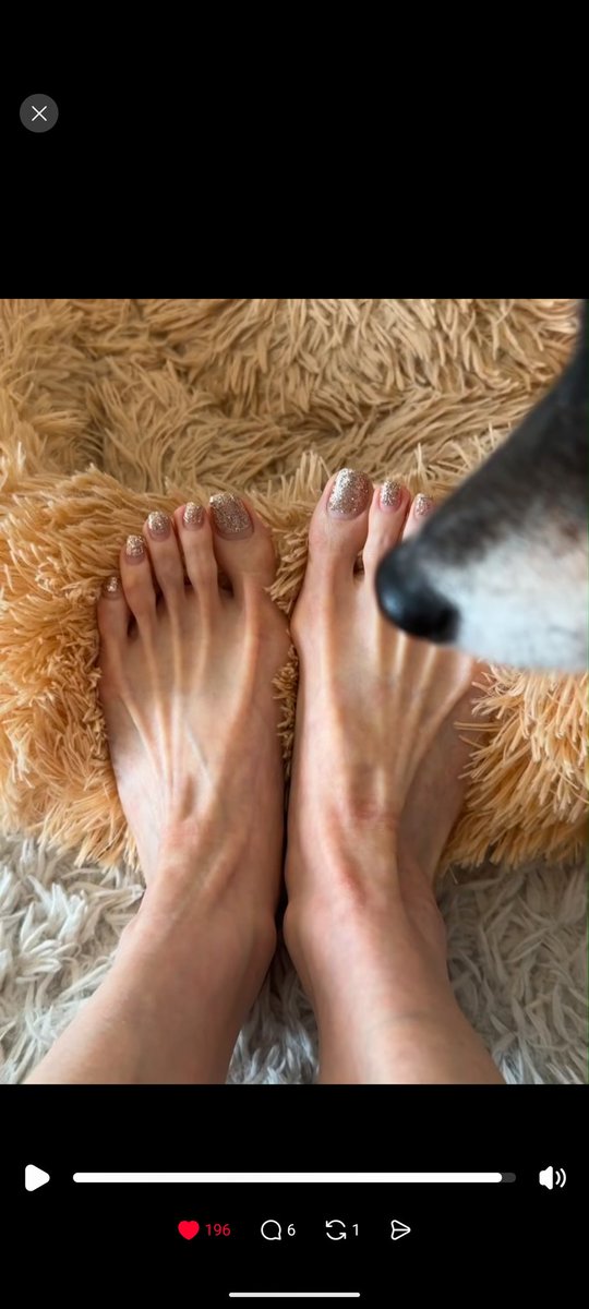 yooohei_feet's tweet photo. ワンちゃん代わって https://t.co/sQT18dPimd