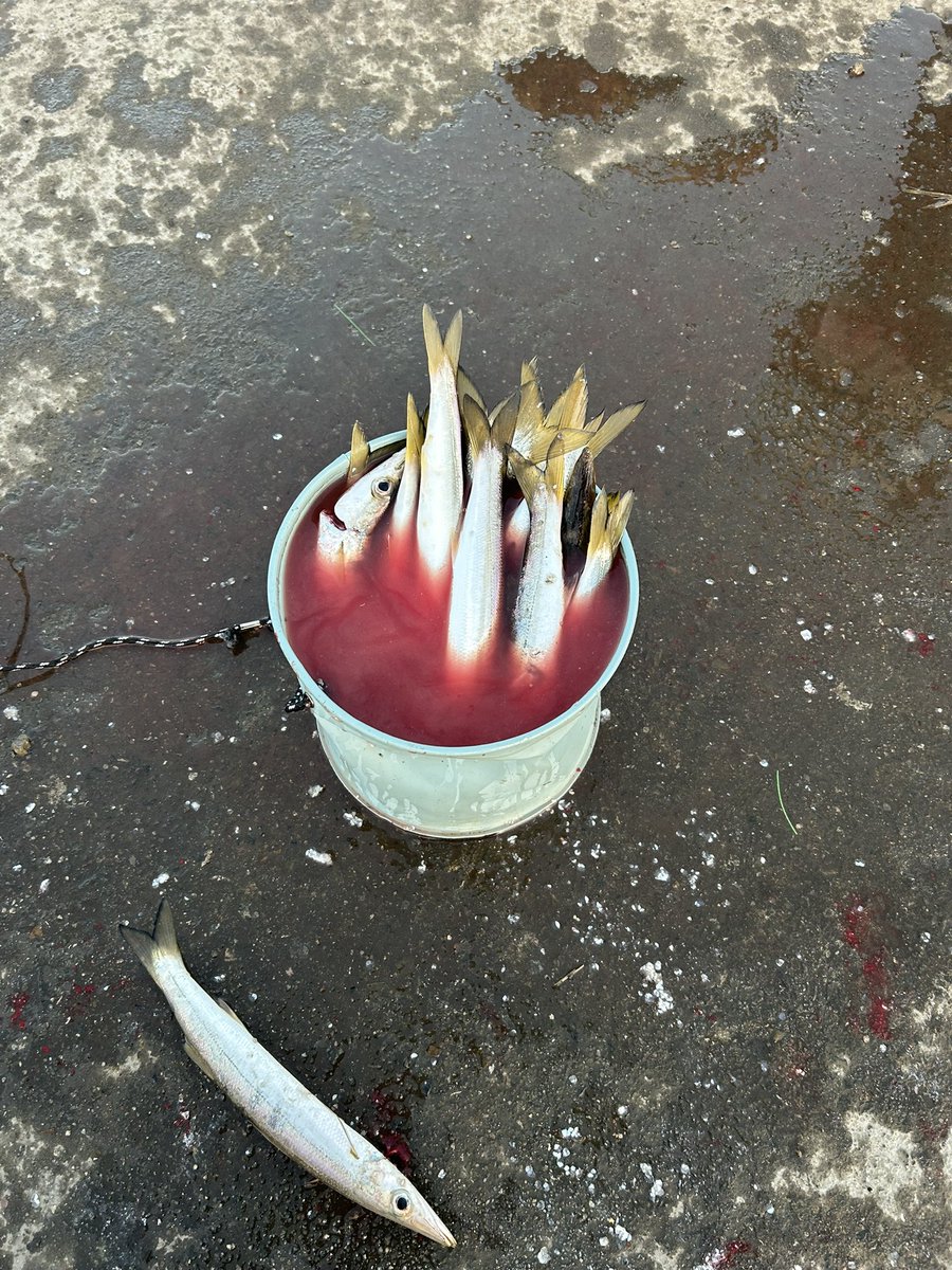 鬼いいいいぃいい tweet media