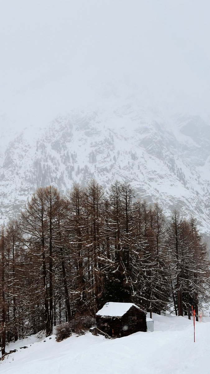 Jordan Letner tweet media