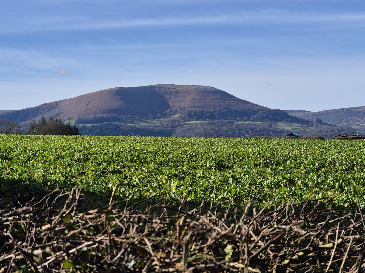 Jeremy Harris tweet media