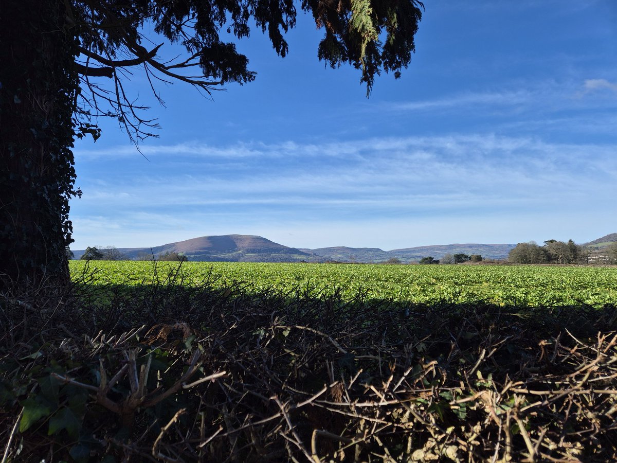 Jeremy Harris tweet media