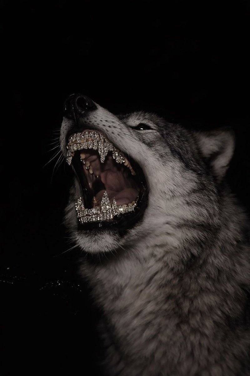 Artzchillect tweet media