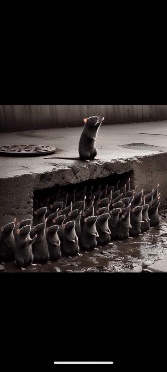 <a href="/lisameyerildra1/">lisameyer🏥🌈⚡️</a> I destrorsi……