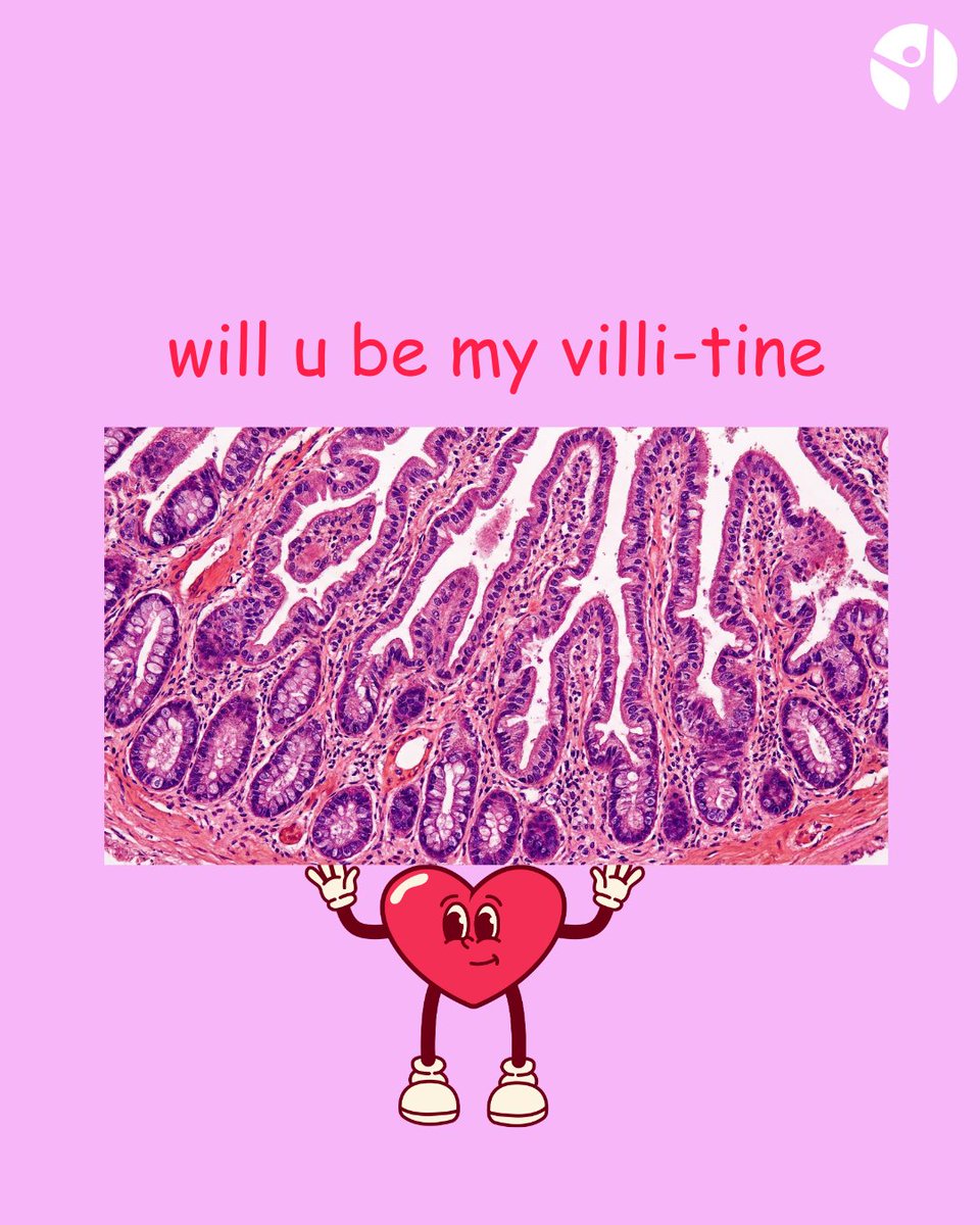 Beyond Celiac tweet media