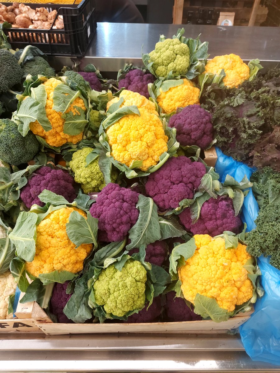 Albert Vicent tweet media