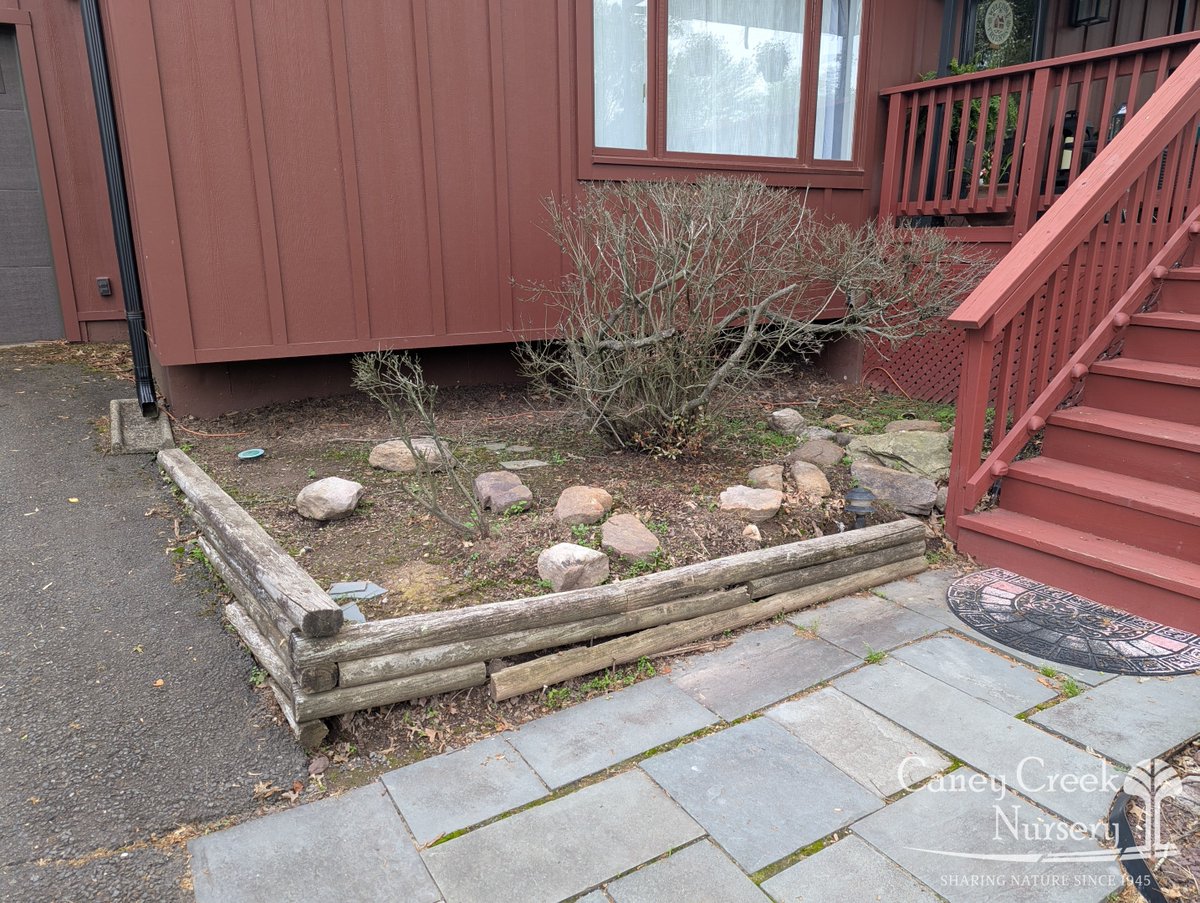 This timber bed received a major upgrade to boulder retention. Not only does it look a lot cleaner and natural, but it will hold the test of time much more effectively than wood. Where beauty and function meet, landscape design delivers.

campbellferrara.com/featured/refre…

#hardscapedesign