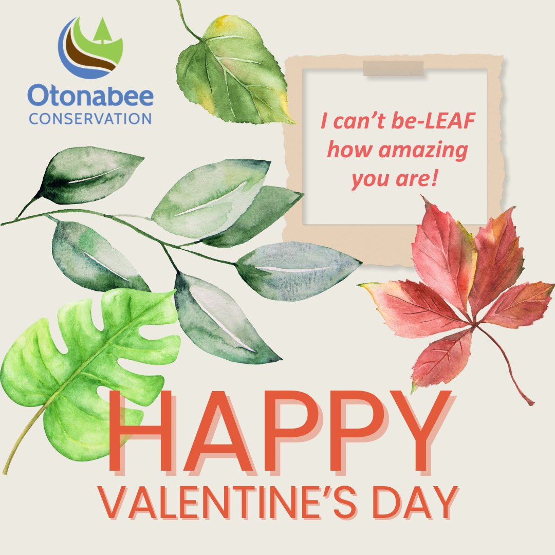 Otonabee Conservation tweet media