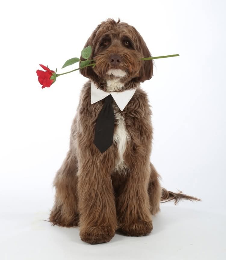 Bocker & Marie tweet media