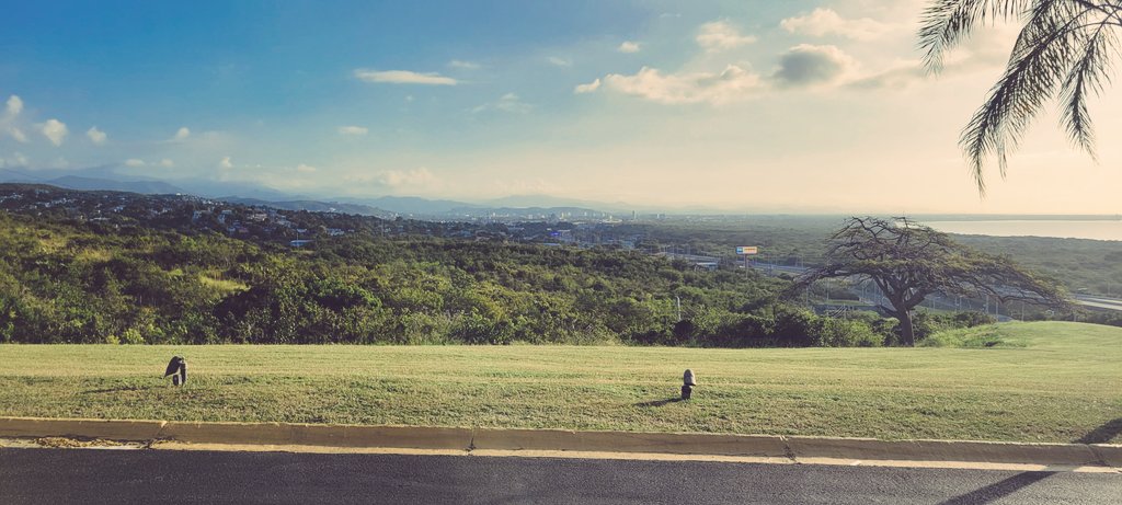 IndStBaseball's tweet photo. Good morning from 🇵🇷

We get to play baseball today!

See you at 9am ET on #VictoryPlus

#MarchOn https://t.co/R1cJ3ksxyU