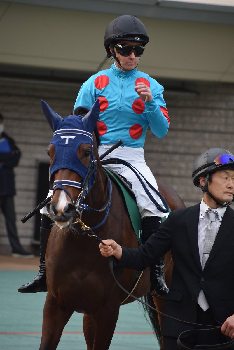 7Q339Tgja5b0jv3's tweet photo. 今日の姉さん!モートンアイランド!
#RachelKing
#レイチェル・キング
#モートンアイランド
#モーリス産駒
#デイリー杯クイーンカップ
#東京競馬場 https://t.co/brY5DwbkFz