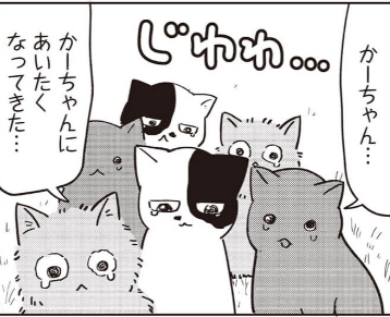 6話後編が更新です!
帰りたい子猫たちに戻る必要がないと言う羽のおじちゃん、このままでは帰れない!
ミケミケが放つ逆転の一手とは!?
宜しくどうぞ!
このマンガがすごい!comics 猫と竜 ミケミケのねこねこギルド 【単話版】|コミックシーモア作品情報 https://t.co/FrYj3nA1Pe @comic_cmoa 