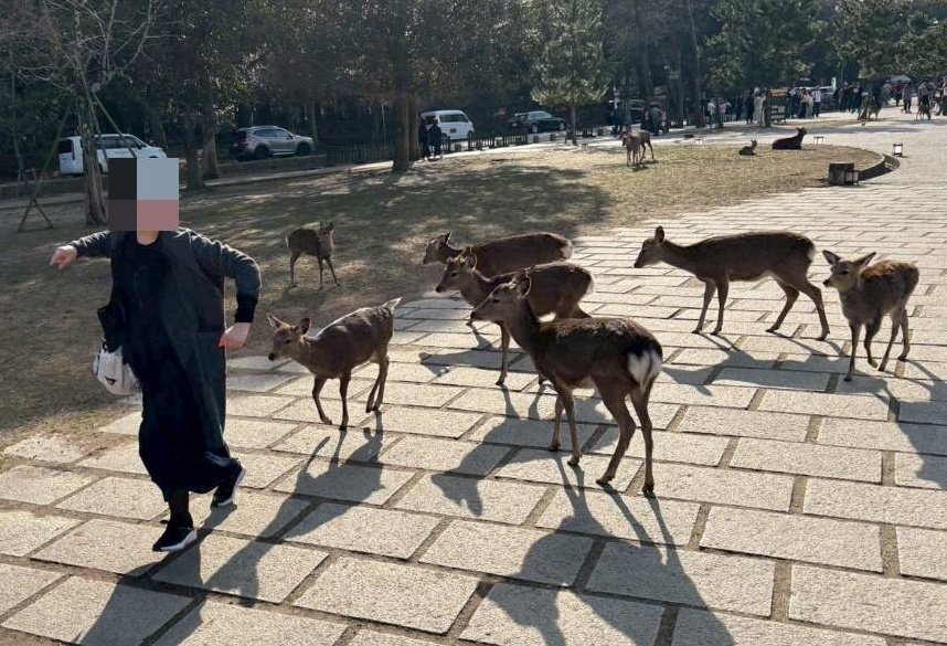 鹿に追いかけられてきたんだけど、そんなことよりなんで静止画なのに私の走り方こんなにキモイの
