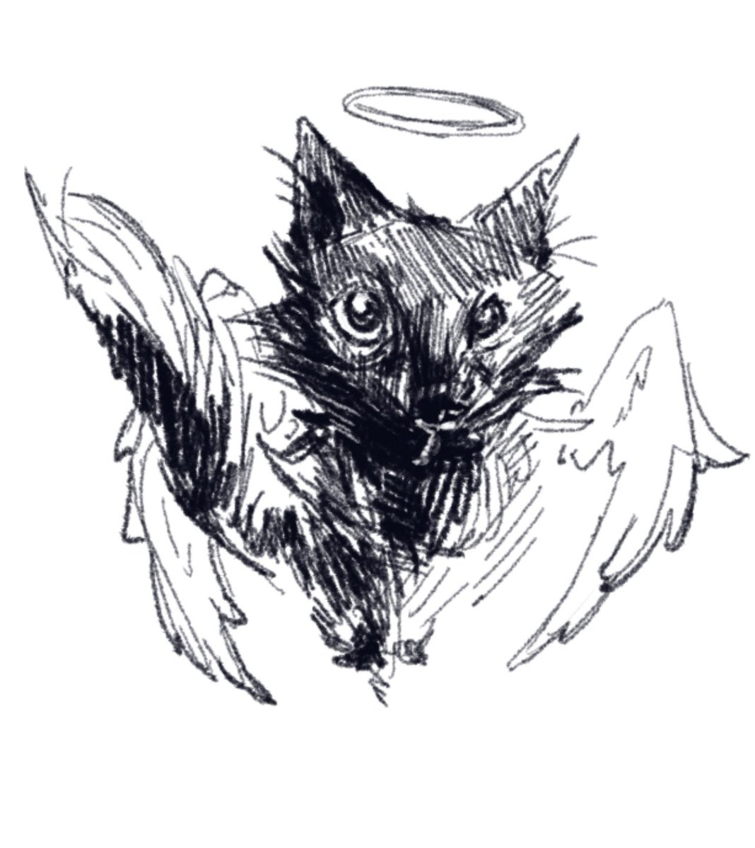 Kris 🥩 tweet media