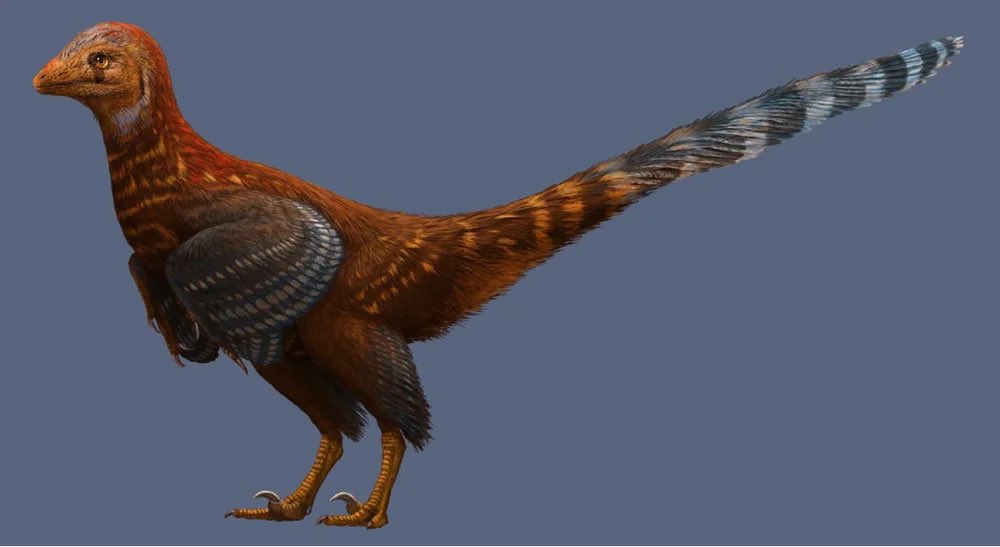 Pittman Palaeo Lab tweet media