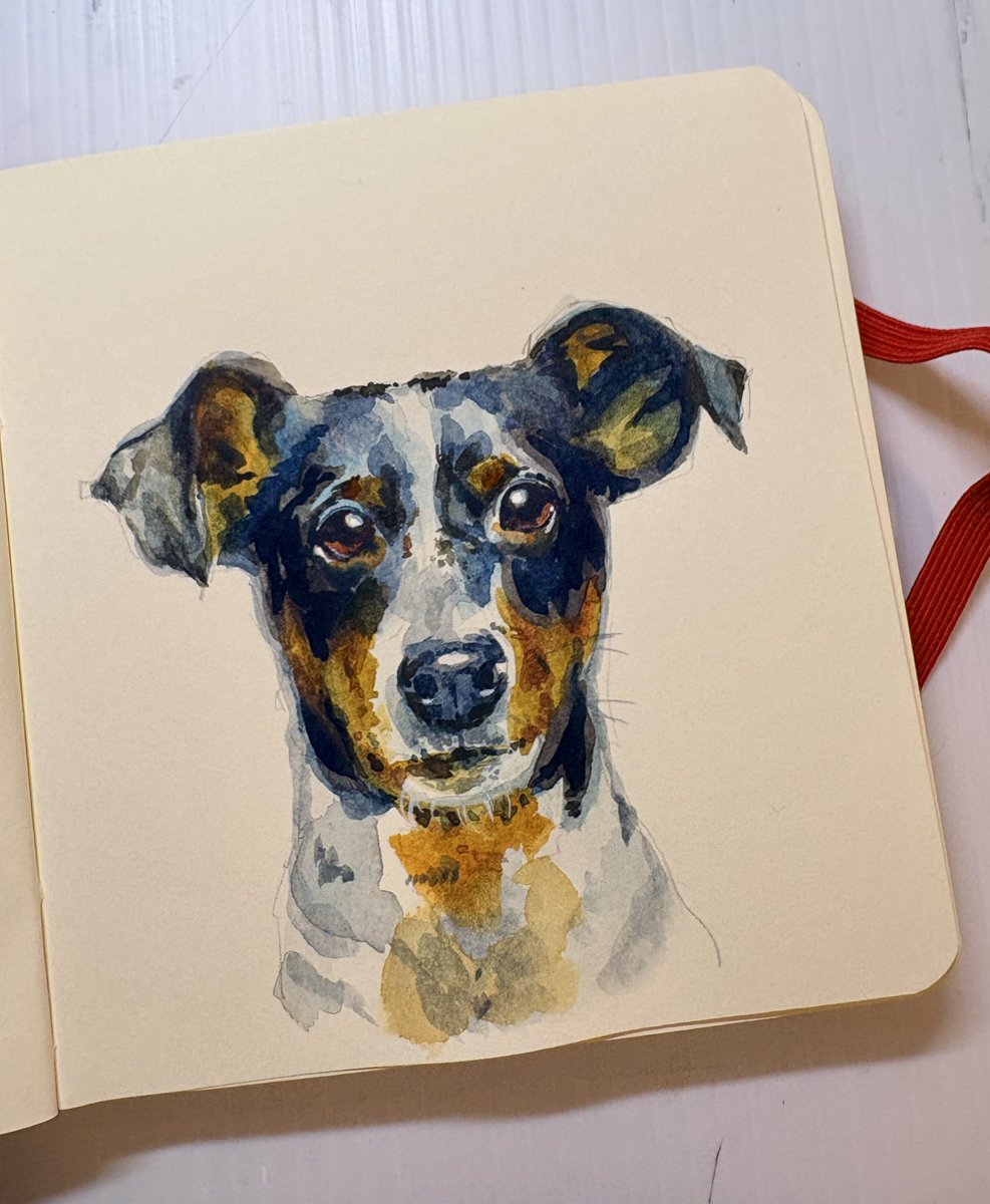 o-danから参考にわんちゃん🐾 #犬 #dog #水彩画