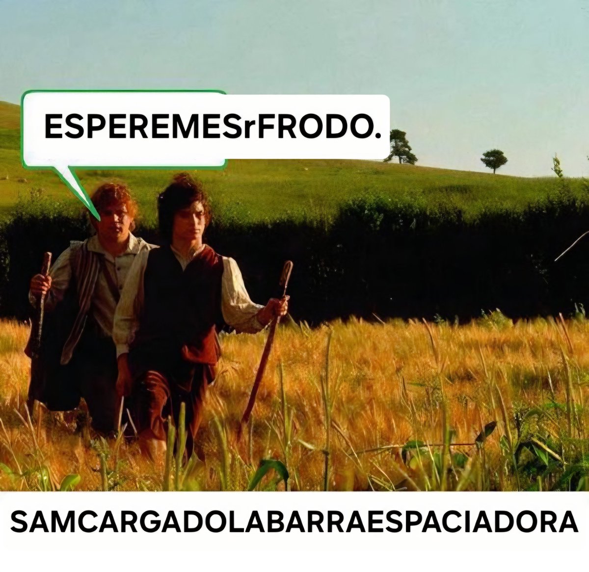 Kafei (@kafei_) on Twitter photo 