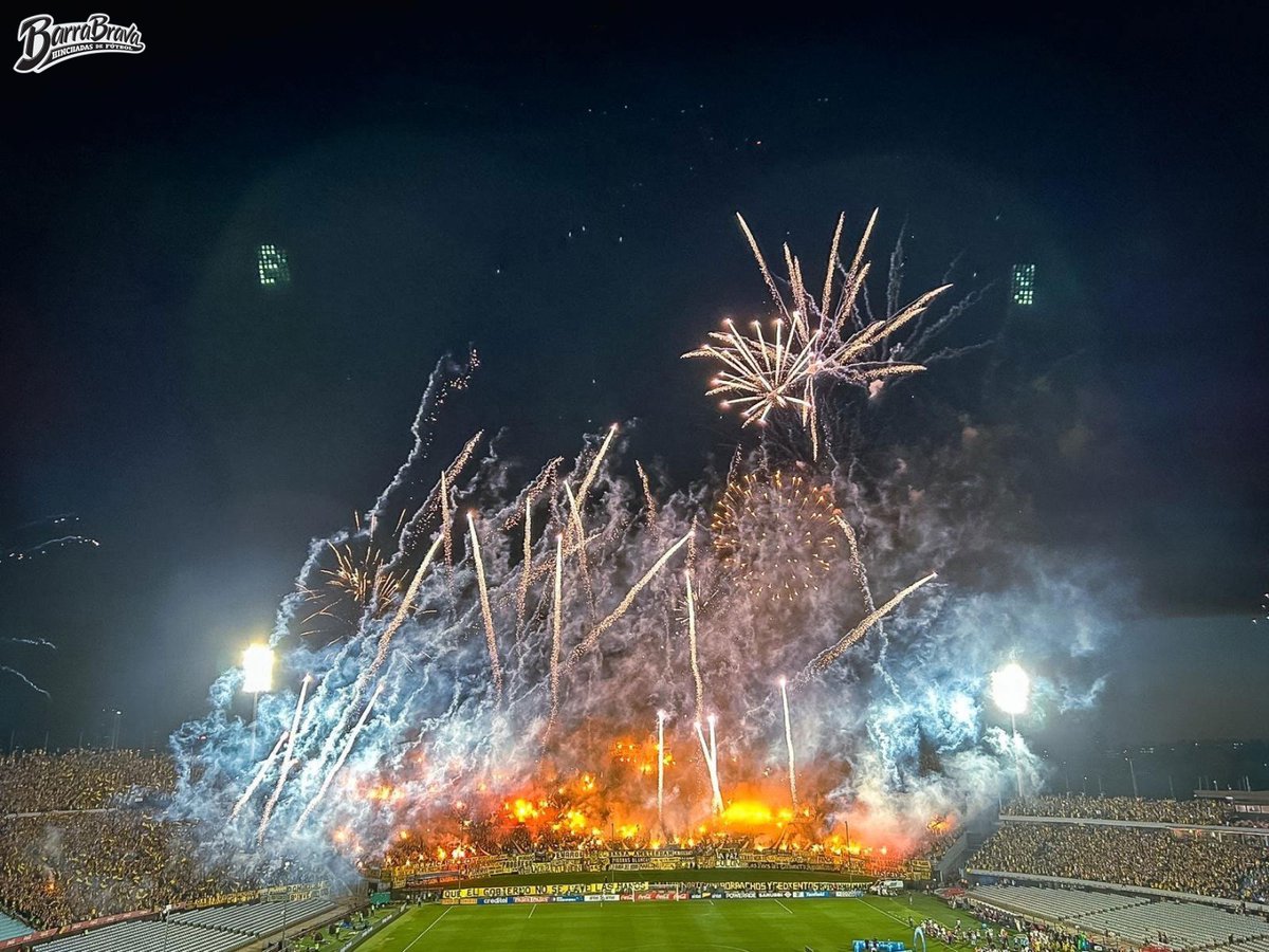 Barra Brava tweet media