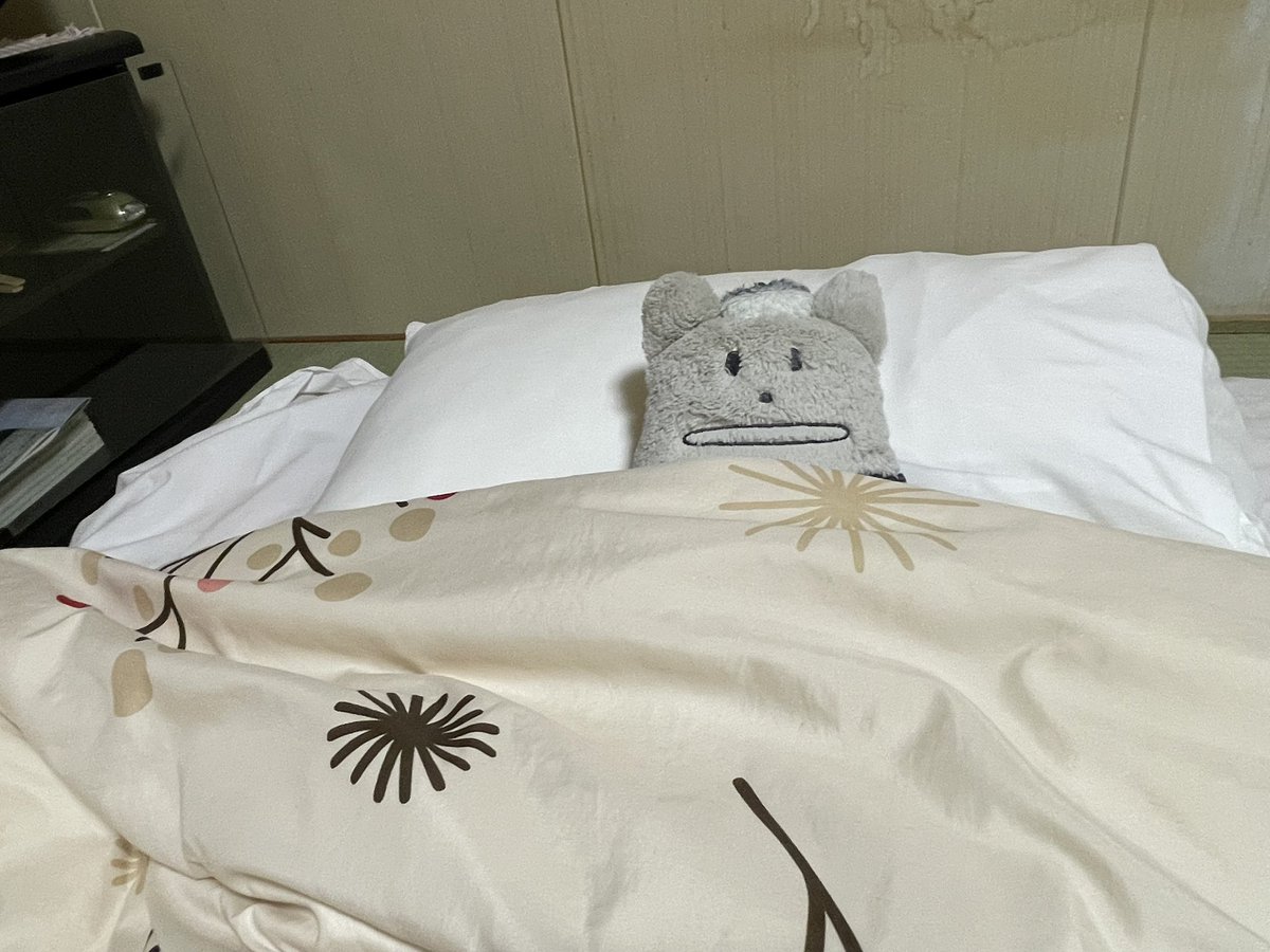 おやすみなさい(北海道でこんなに快適に眠れる日が来るなんて、感動です！)