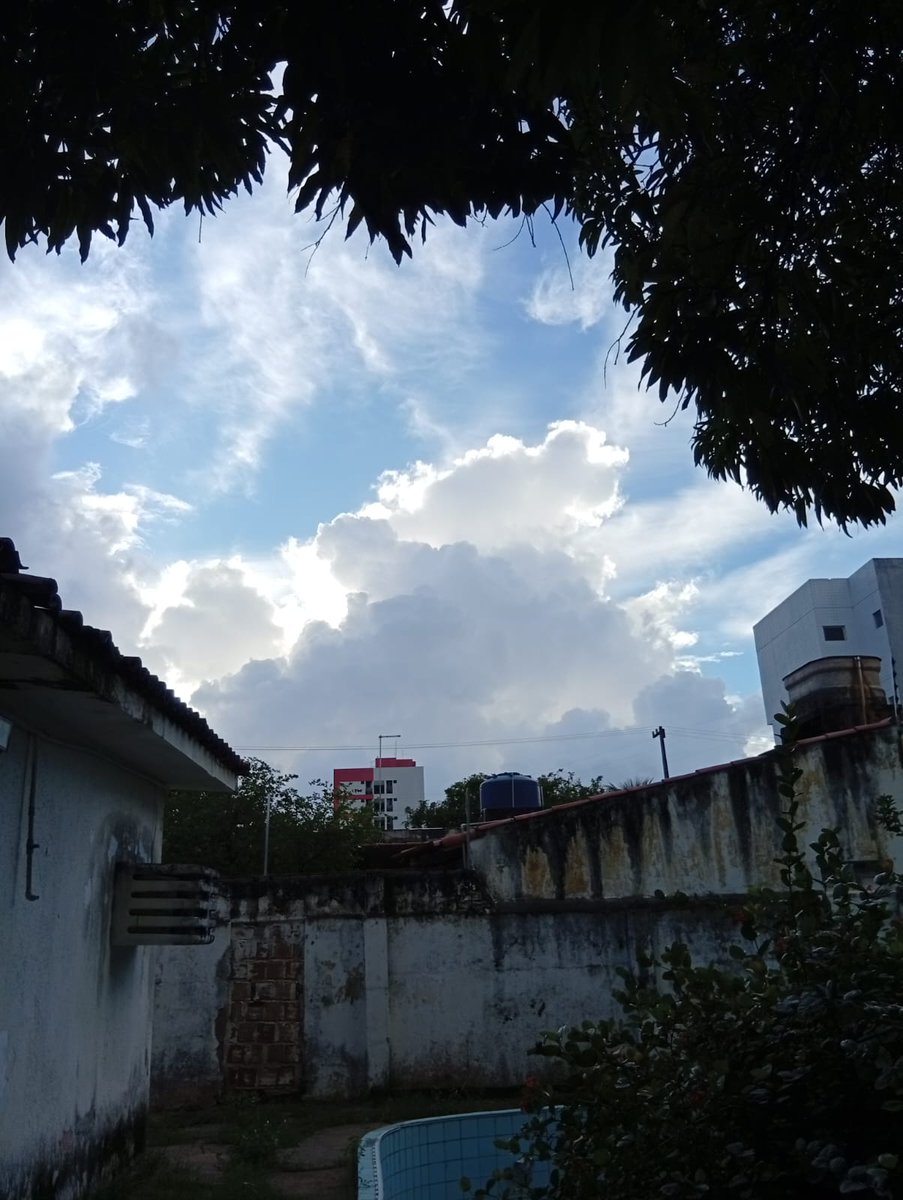 Bom e abençoado dia a todos