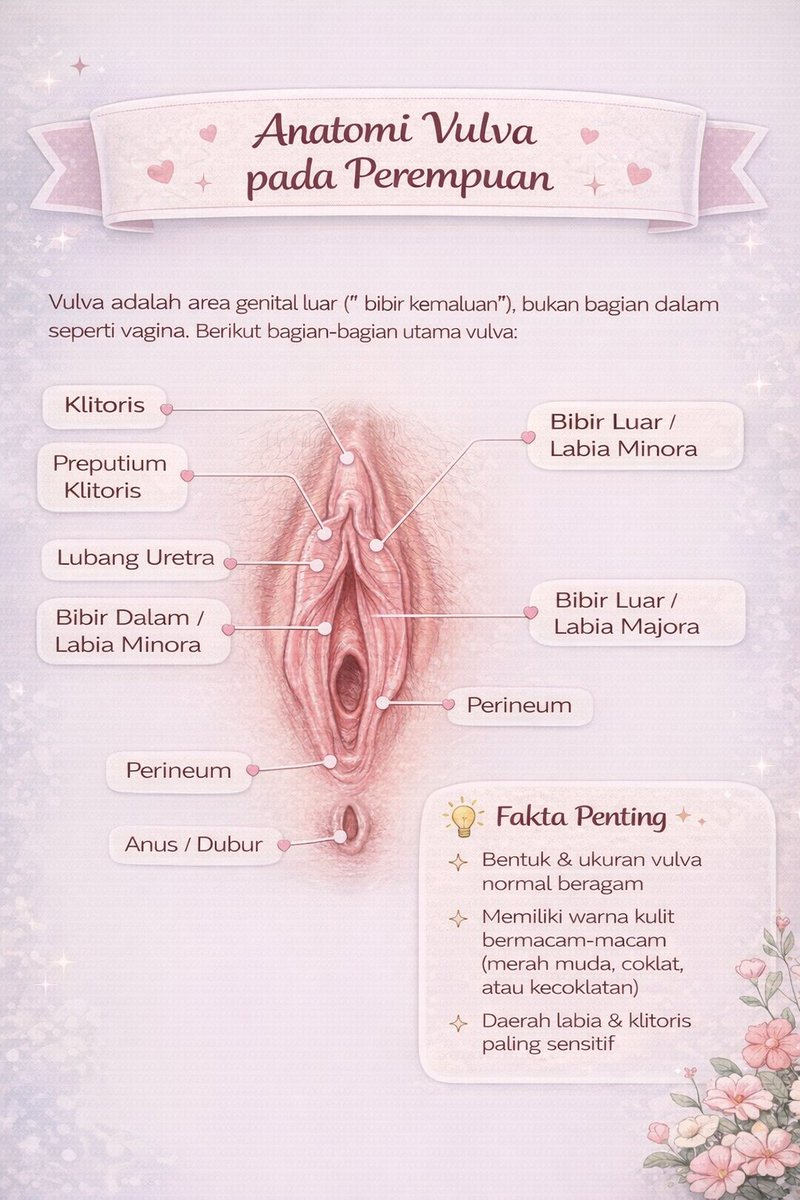 Normalisasi membicarakan soal sex edu, biar gak belajar dari film porno.

Aku pernah bahas soal Vagina, kali ini mau bahas soal Vulva.