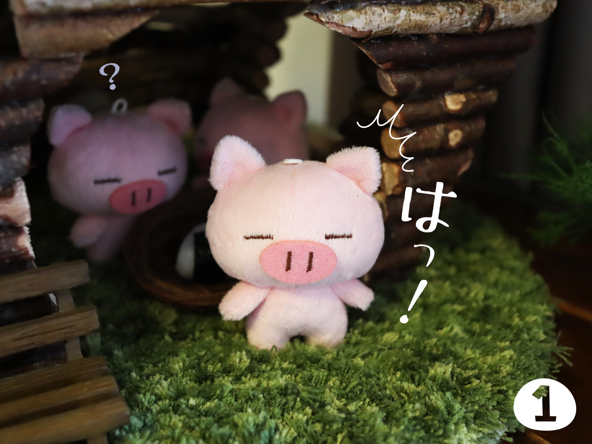 ぶたた (@butatadecosmith) / Posts / X