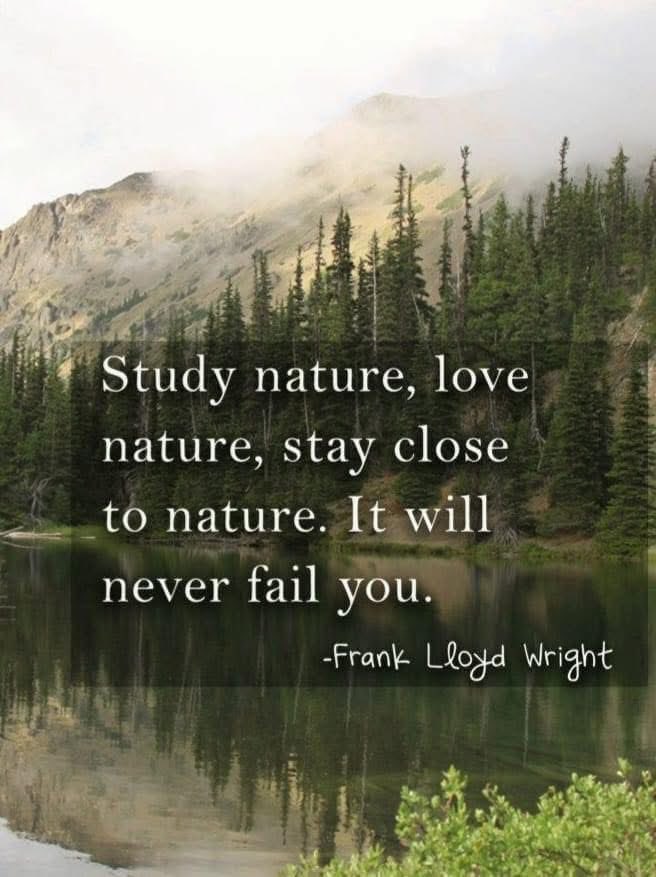 AnsElfMIA's tweet image. Nature never fails 🩵💚 
#earthtime #nature #earthtimewellness
