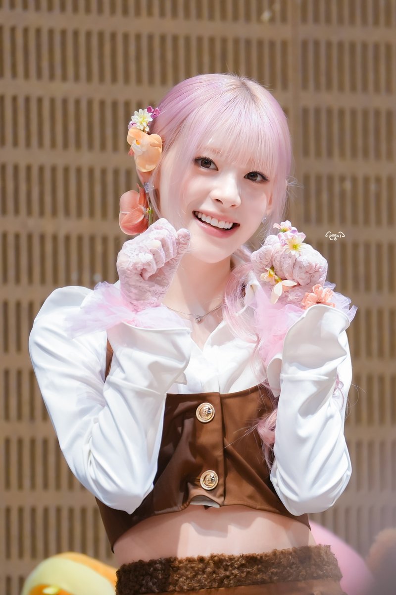 센둥이 tweet media