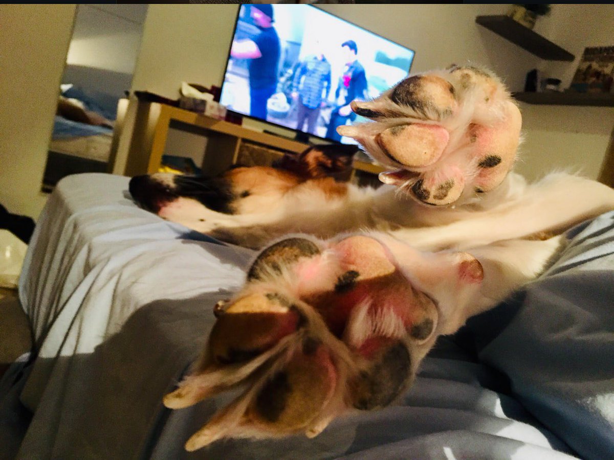 Axel Sheppy tweet media