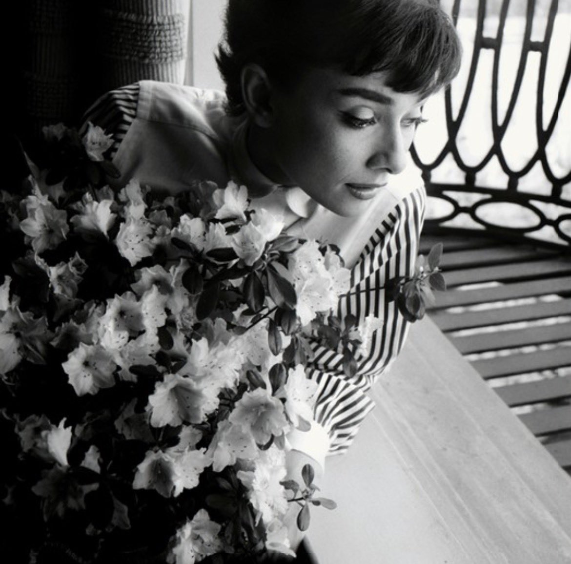 audrey hepburn photographed by bob willoughby in 1953 🌸

happy valentine’s day 💌