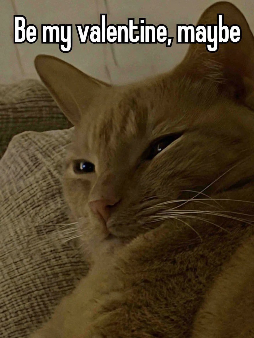 BBB (@x_barrier) on Twitter photo 