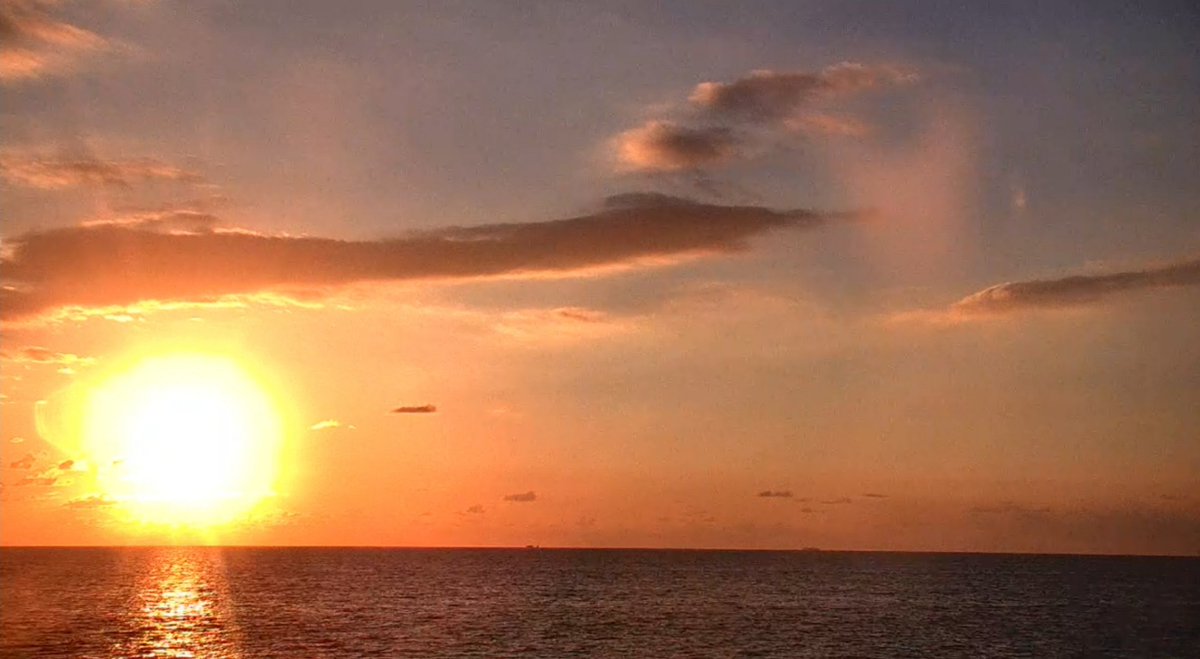 Moonlight Minx tweet media