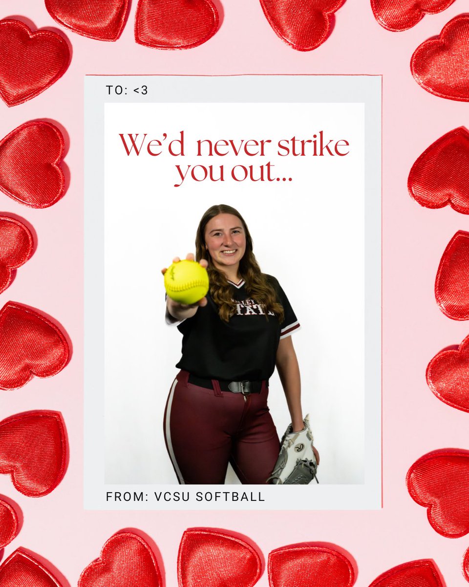 VCSU Softball tweet media