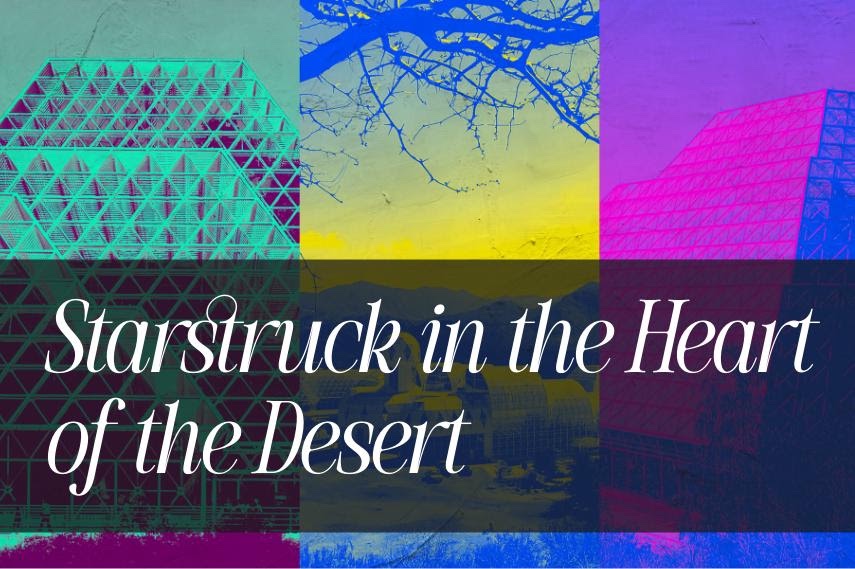 Joe Pitts tweet media