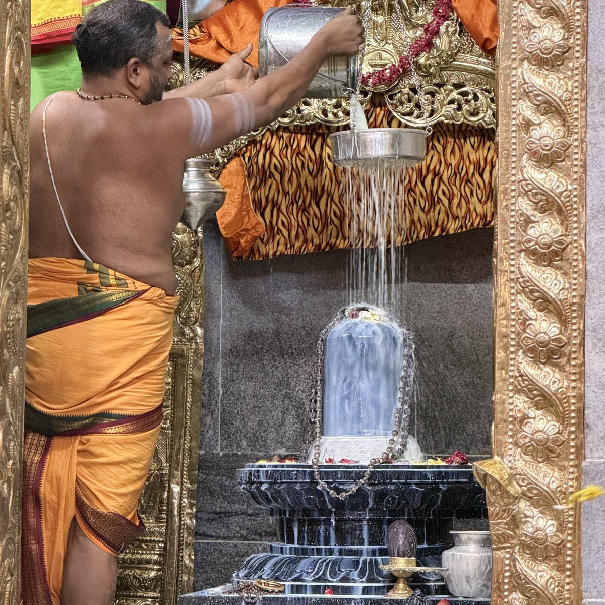 swamin400's tweet photo. Shani Pradosham today https://t.co/rXVO3GN4GJ