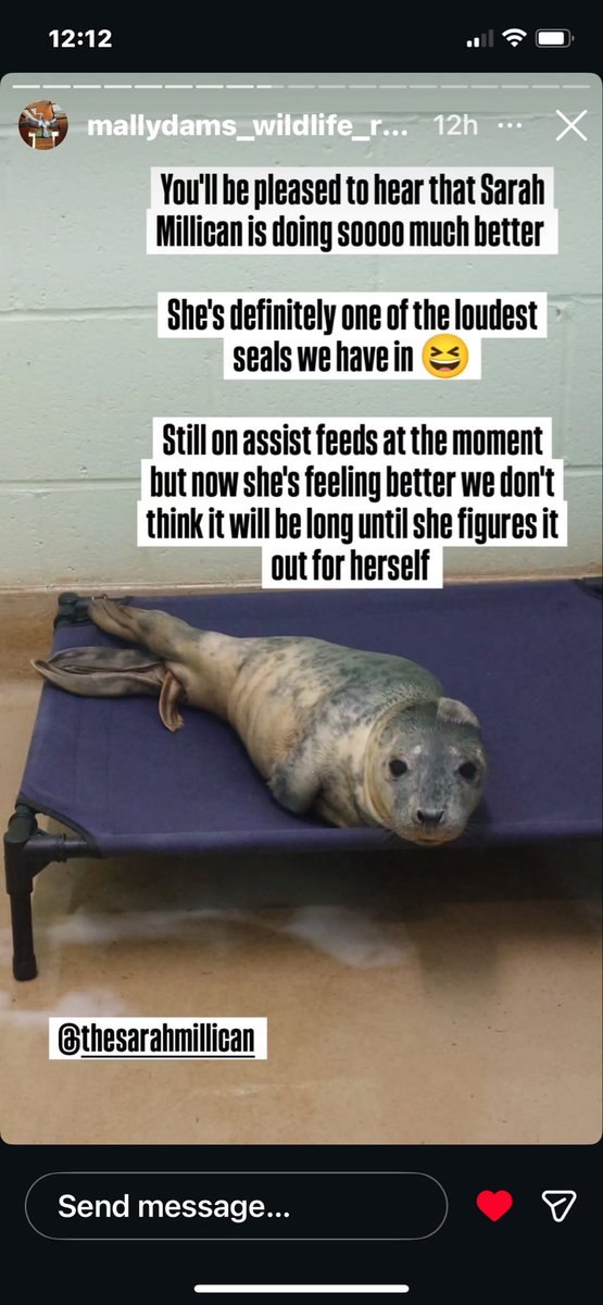 Best news. I waited on the beach for 4 hours waiting for her to be rescued. <a href="/SarahMillican75/">Sarah Millican</a>