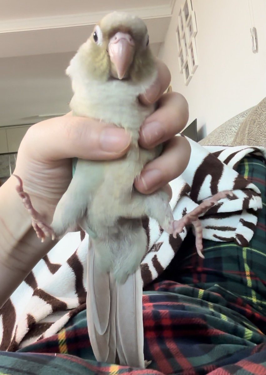 잡으면 쩍벌하는 편